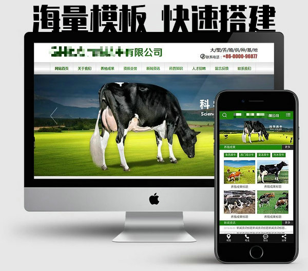 網站建設制作每年怎么收費